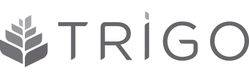 GRUPO TRIGO